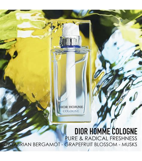 dior homme fragrantica|dior homme fragrance.